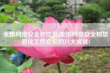 全国网络安全和信息(全国网络安全和信息化工作会议的八大成就)