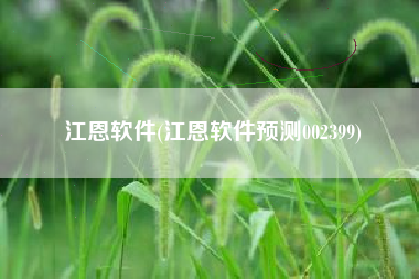 江恩软件(江恩软件预测002399)
