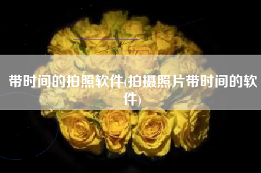 带时间的拍照软件(拍摄照片带时间的软件)