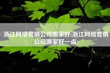 浙江网络营销公司哪家好(浙江网络营销公司哪家好一点)