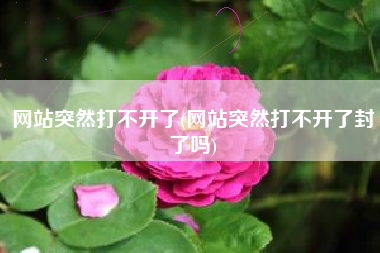 网站突然打不开了(网站突然打不开了封了吗)