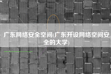 广东网络安全空间(广东开设网络空间安全的大学)
