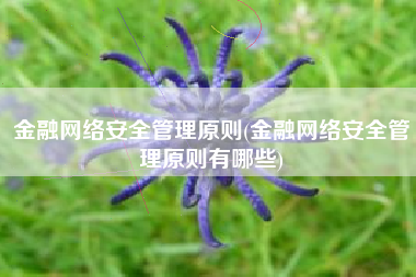 金融网络安全管理原则(金融网络安全管理原则有哪些)