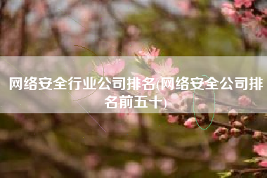 网络安全行业公司排名(网络安全公司排名前五十)