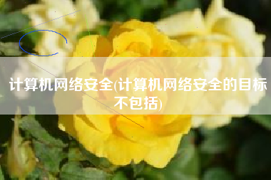 计算机网络安全(计算机网络安全的目标不包括)