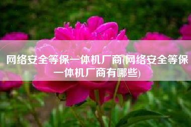 网络安全等保一体机厂商(网络安全等保一体机厂商有哪些)