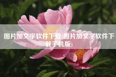 图片加文字软件下载(图片加文字软件下载手机版)