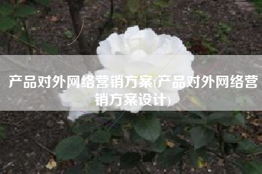 产品对外网络营销方案(产品对外网络营销方案设计)