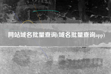 网站域名批量查询(域名批量查询app)
