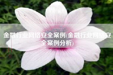 金融行业网络安全案例(金融行业网络安全案例分析)