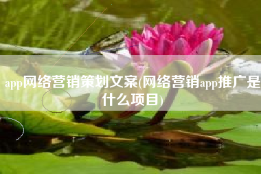 app网络营销策划文案(网络营销app推广是什么项目)