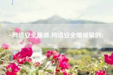 网络安全爆破(网络安全爆破案例)