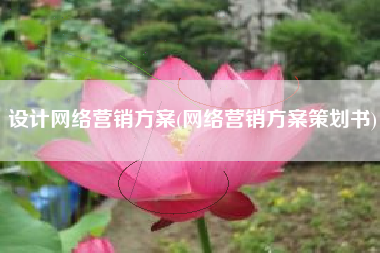 设计网络营销方案(网络营销方案策划书)
