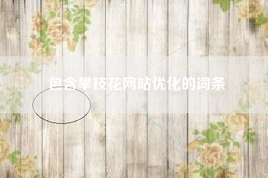 包含攀枝花网站优化的词条