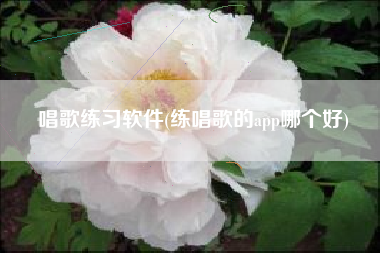 唱歌练习软件(练唱歌的app哪个好)