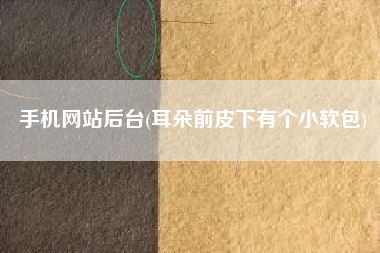 手机网站后台(耳朵前皮下有个小软包)