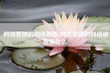 网络营销的网络销售(网络营销的网络销售是什么)
