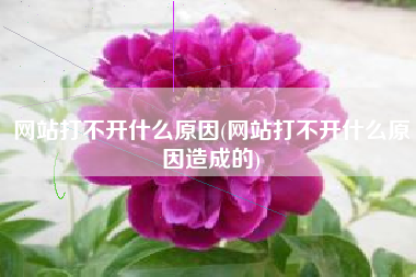 网站打不开什么原因(网站打不开什么原因造成的)