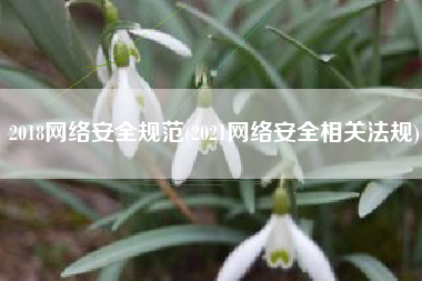 2018网络安全规范(2021网络安全相关法规)
