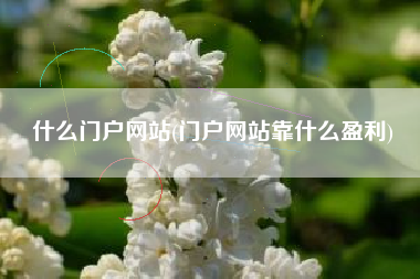 什么门户网站(门户网站靠什么盈利)