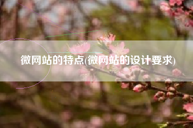 微网站的特点(微网站的设计要求)