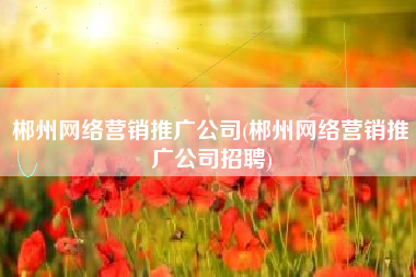 郴州网络营销推广公司(郴州网络营销推广公司招聘)