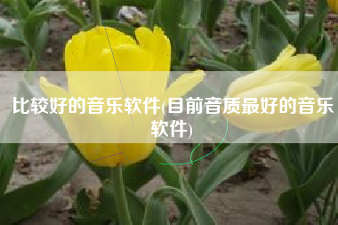 比较好的音乐软件(目前音质最好的音乐软件)