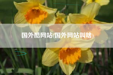 国外酷网站(国外网站叫啥)