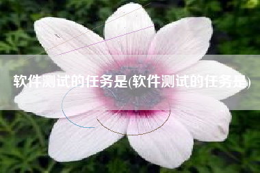 软件测试的任务是(软件测试的任务是)