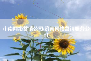 市南网络营销公司(济南网络营销服务公司)
