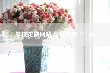 攀枝花做网站(攀枝花市 *** 网)