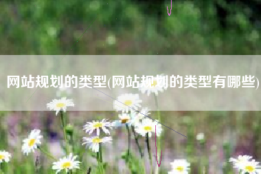 网站规划的类型(网站规划的类型有哪些)