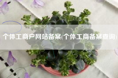 个体工商户网站备案(个体工商备案查询)