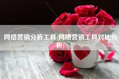 网络营销分析工具(网络营销工具对比分析)