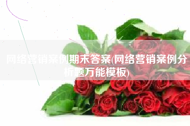 网络营销案例期末答案(网络营销案例分析题万能模板)
