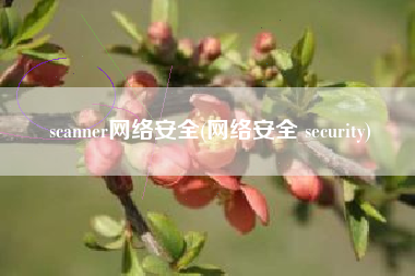 scanner网络安全(网络安全 security)