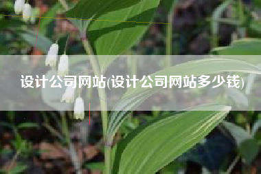 设计公司网站(设计公司网站多少钱)