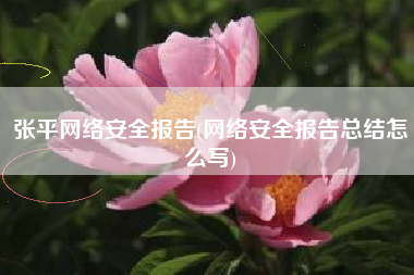 张平网络安全报告(网络安全报告总结怎么写)