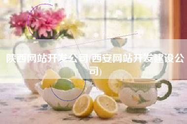 陕西网站开发公司(西安网站开发建设公司)