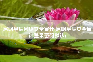 启明星辰网络安全审计(启明星辰安全审计登录密码默认)