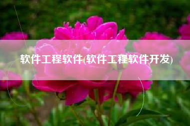 软件工程软件(软件工程软件开发)
