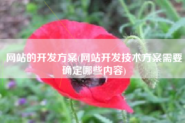 网站的开发方案(网站开发技术方案需要确定哪些内容)