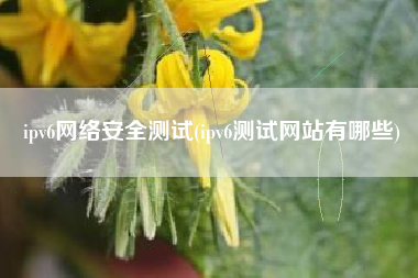 ipv6网络安全测试(ipv6测试网站有哪些)