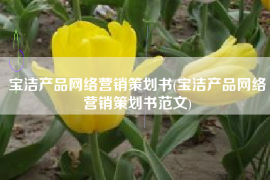 宝洁产品网络营销策划书(宝洁产品网络营销策划书范文)