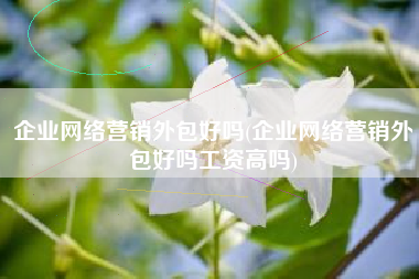 企业网络营销外包好吗(企业网络营销外包好吗工资高吗)