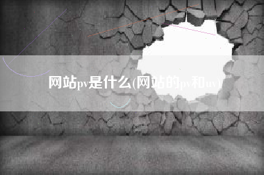 网站pv是什么(网站的pv和uv)