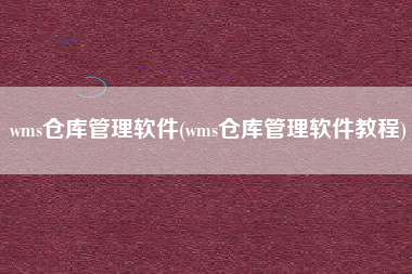 wms仓库管理软件(wms仓库管理软件教程)
