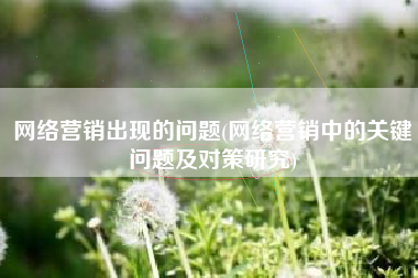网络营销出现的问题(网络营销中的关键问题及对策研究)