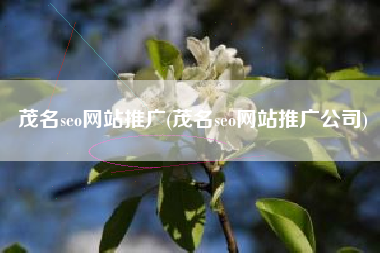 茂名seo网站推广(茂名seo网站推广公司)