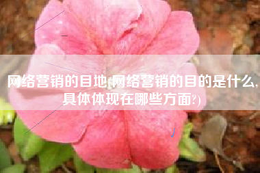 网络营销的目地(网络营销的目的是什么,具体体现在哪些方面?)
